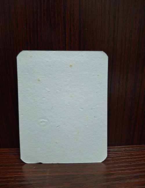 Plantable Calender