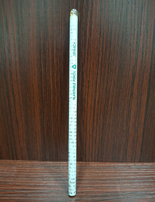 Spinach Plantable Paper Pencil
