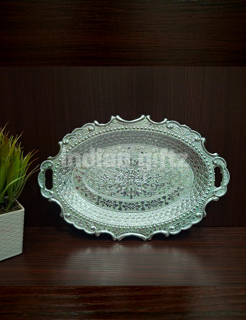 Silver Plastic Handle Tray