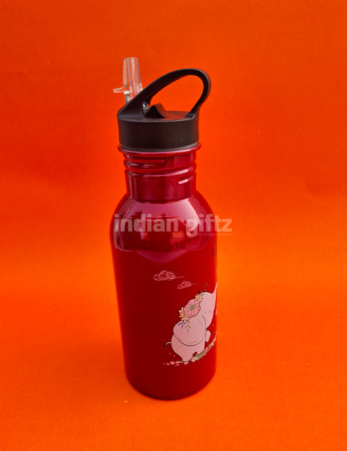 Good Morning Princes Elephant & Rabbit Printed Aluminium Sipper Water Bottle.  Suitable for Kids