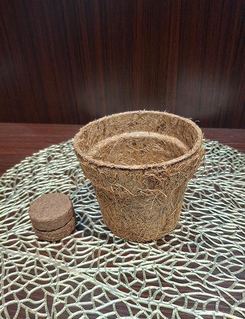 Coir Pot + Disc