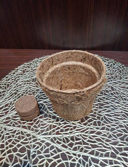 Coir Pot + Disc