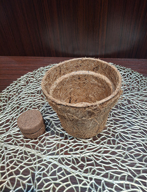 Coir Pot + Disc
