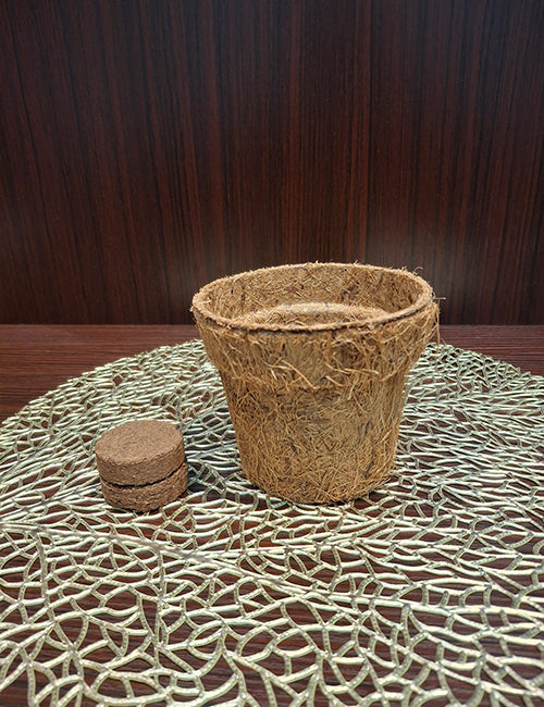 Coir Pot + Disc