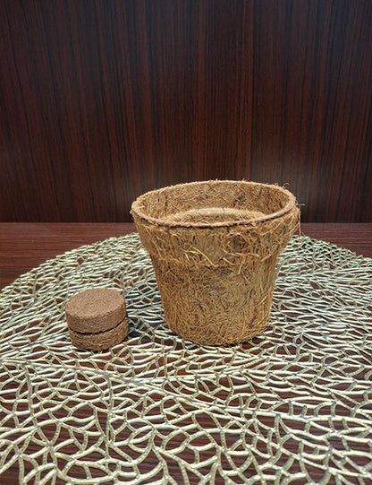 Coir Pot + Disc